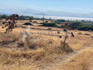 Αγροτεμάχια 6.000 τ.μ. για πώληση