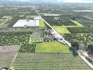 Αγροτεμάχια 4.063 τ.μ. για πώληση, Αργολίδα, Μιδέα-thumb-8