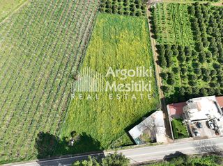 Αγροτεμάχια 4.063 τ.μ. για πώληση, Αργολίδα, Μιδέα-thumb-3