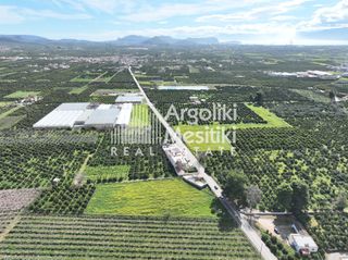 Αγροτεμάχια 4.063 τ.μ. για πώληση, Αργολίδα, Μιδέα-thumb-6