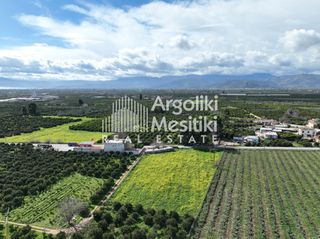 Αγροτεμάχια 4.063 τ.μ. για πώληση, Αργολίδα, Μιδέα-thumb-9