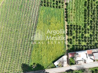 Αγροτεμάχια 4.063 τ.μ. για πώληση, Αργολίδα, Μιδέα-thumb-4