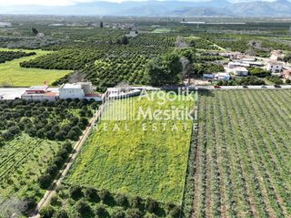 Αγροτεμάχια 4.063 τ.μ. για πώληση, Αργολίδα, Μιδέα-thumb-11