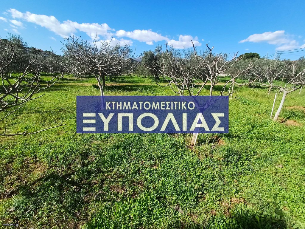 Αγροτεμάχια 3.500 τ.μ. προς πώληση, Αθήνα - Ανατολικά Προάστια, Κορωπί