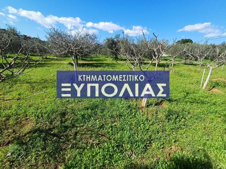 Αγροτεμάχια 3.500 τ.μ. προς πώληση