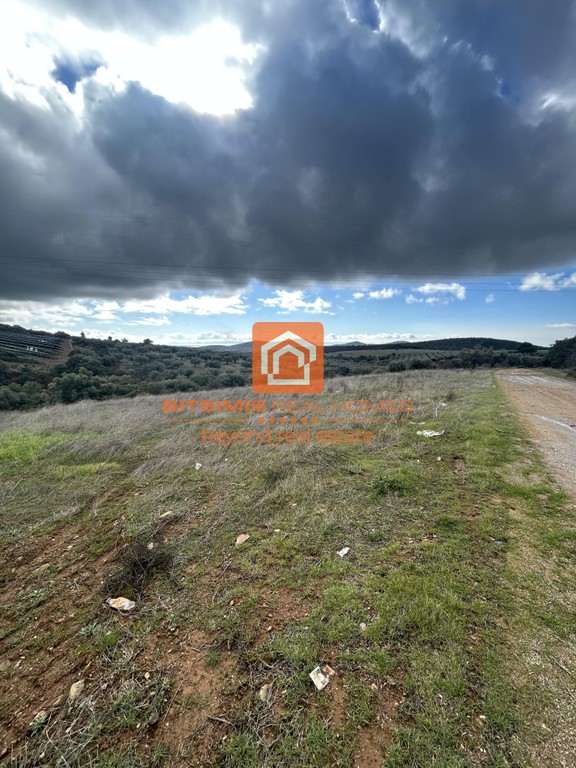 Αγροτεμάχια 4.062 τ.μ. προς πώληση, Βράσταμα