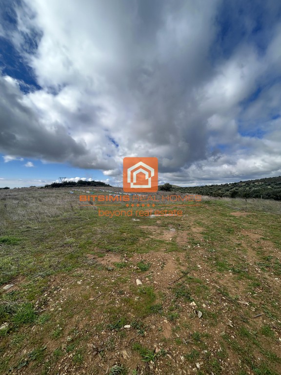 Αγροτεμάχια 28.625 τ.μ. προς πώληση, Μαρλιά