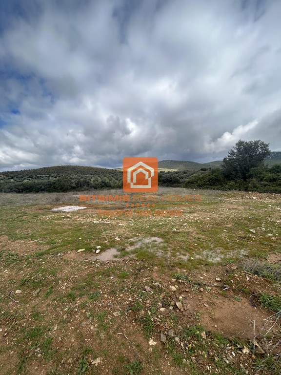 Αγροτεμάχια 28.625 τ.μ. προς πώληση, Μαρλιά