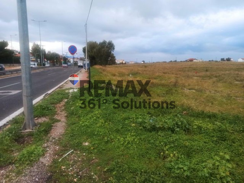 Αγροτεμάχια 3.900 τ.μ. πρός ενοικίαση, Αττική - Υπόλοιπο, Ραφήνα