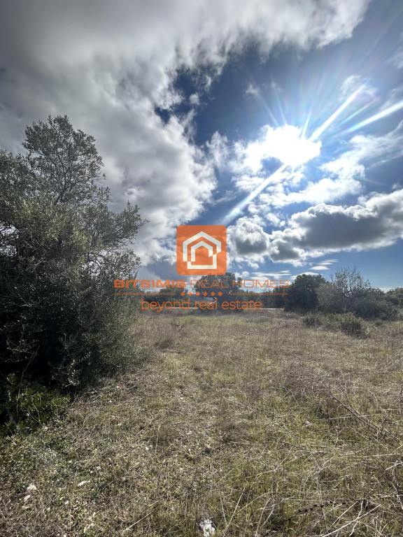 Αγροτεμάχια 4.262 τ.μ. προς πώληση, Βράσταμα