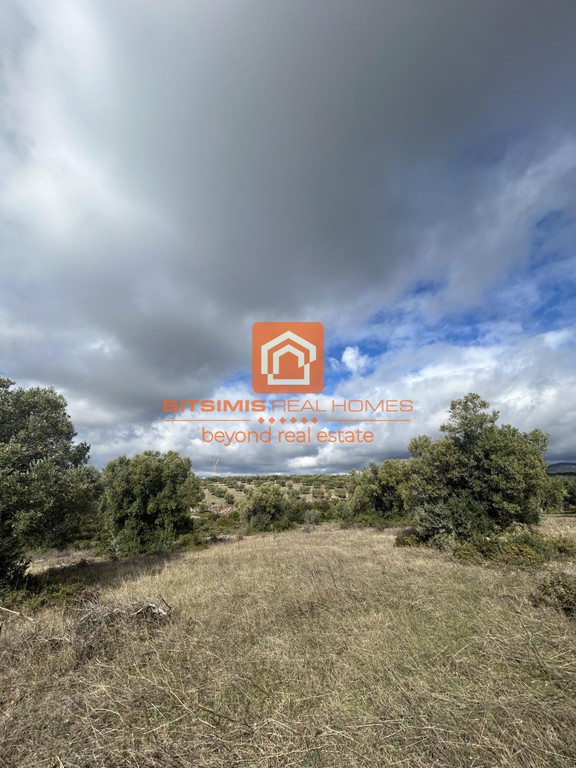 Αγροτεμάχια 4.262 τ.μ. προς πώληση, Βράσταμα