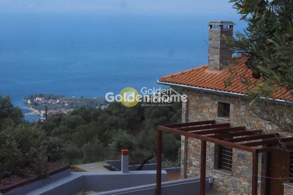 Επιχειρηματικό κτίριο 540 τ.μ. πρός πώληση, Μαγνησία, Μηλιές
