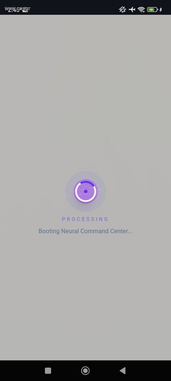 full stack developer