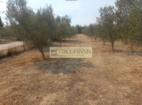 Οικόπεδο 1.100 τ.μ. προς πώληση