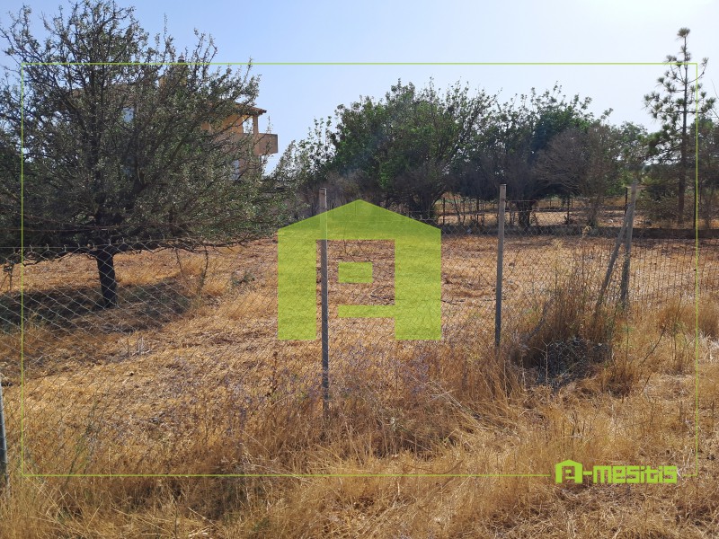 Οικόπεδο 621 τ.μ. πρός πώληση, Αχαΐα, Λάρισσος