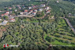 Οικόπεδο 721 τ.μ. προς πώληση, Γαργαλιάνοι-thumb-27