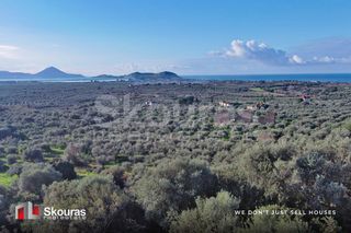 Οικόπεδο 721 τ.μ. προς πώληση, Γαργαλιάνοι-thumb-17