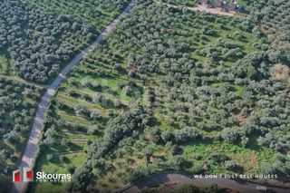 Οικόπεδο 721 τ.μ. προς πώληση, Γαργαλιάνοι-thumb-30
