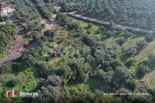 Οικόπεδο 721 τ.μ. προς πώληση, Γαργαλιάνοι-thumb-16