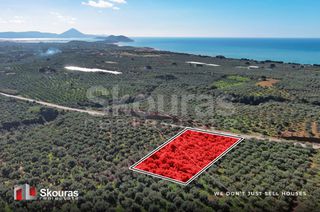 Οικόπεδο 5.768 τ.μ. για πώληση, Μεσσηνία, Γαργαλιάνοι-thumb-4