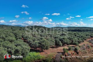 Οικόπεδο 5.768 τ.μ. για πώληση, Μεσσηνία, Γαργαλιάνοι-thumb-1