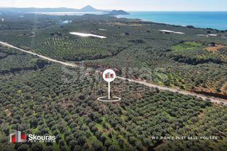 Οικόπεδο 5.768 τ.μ. για πώληση