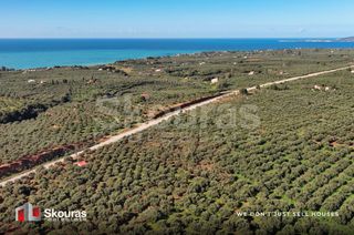 Οικόπεδο 5.768 τ.μ. για πώληση, Μεσσηνία, Γαργαλιάνοι-thumb-15