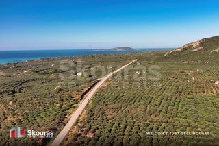 Οικόπεδο 5.768 τ.μ. για πώληση, Μεσσηνία, Γαργαλιάνοι-thumb-18