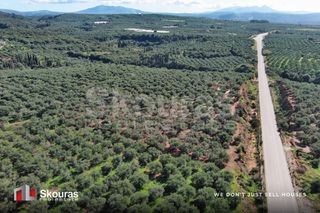 Οικόπεδο 5.768 τ.μ. για πώληση, Μεσσηνία, Γαργαλιάνοι-thumb-5