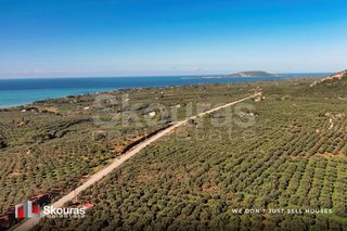 Οικόπεδο 5.768 τ.μ. για πώληση, Μεσσηνία, Γαργαλιάνοι-thumb-17