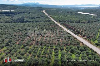 Οικόπεδο 5.768 τ.μ. για πώληση, Μεσσηνία, Γαργαλιάνοι-thumb-6