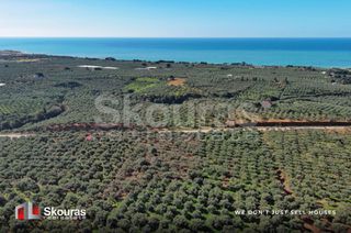 Οικόπεδο 5.768 τ.μ. για πώληση, Μεσσηνία, Γαργαλιάνοι-thumb-11