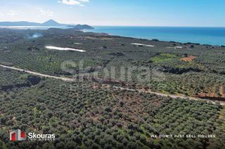 Οικόπεδο 5.768 τ.μ. για πώληση, Μεσσηνία, Γαργαλιάνοι-thumb-10