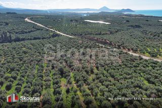 Οικόπεδο 5.768 τ.μ. για πώληση, Μεσσηνία, Γαργαλιάνοι-thumb-7