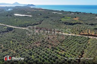 Οικόπεδο 5.768 τ.μ. για πώληση, Μεσσηνία, Γαργαλιάνοι-thumb-9