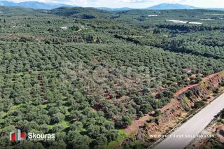 Οικόπεδο 5.768 τ.μ. για πώληση, Μεσσηνία, Γαργαλιάνοι-thumb-3