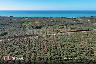 Οικόπεδο 5.768 τ.μ. για πώληση, Μεσσηνία, Γαργαλιάνοι-thumb-12