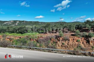 Οικόπεδο 5.768 τ.μ. για πώληση, Μεσσηνία, Γαργαλιάνοι-thumb-24