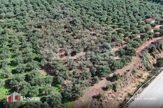 Οικόπεδο 5.768 τ.μ. για πώληση, Μεσσηνία, Γαργαλιάνοι-thumb-2