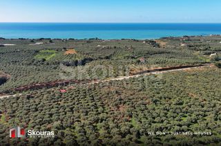 Οικόπεδο 5.768 τ.μ. για πώληση, Μεσσηνία, Γαργαλιάνοι-thumb-13