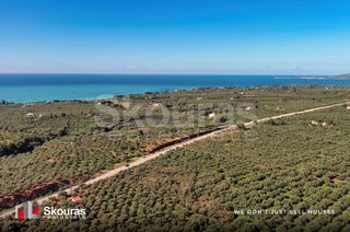 Οικόπεδο 5.768 τ.μ. για πώληση, Μεσσηνία, Γαργαλιάνοι-thumb-16