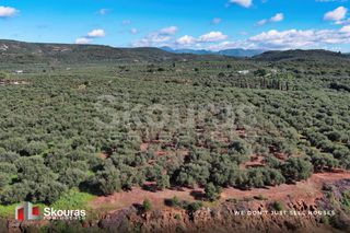 Οικόπεδο 5.768 τ.μ. για πώληση, Μεσσηνία, Γαργαλιάνοι-thumb-20
