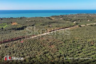 Οικόπεδο 5.768 τ.μ. για πώληση, Μεσσηνία, Γαργαλιάνοι-thumb-14