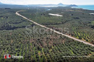 Οικόπεδο 5.768 τ.μ. για πώληση, Μεσσηνία, Γαργαλιάνοι-thumb-8