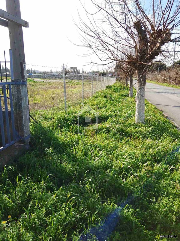 Αγροτεμάχια 3.000 τ.μ. προς ενοικίαση, Θεσσαλονίκη - Περιφ/Κοί Δήμοι, Καλλιθέα