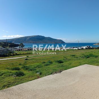 Αγροτεμάχια 6.200 τ.μ. πρός πώληση