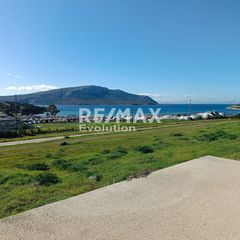 Αγροτεμάχια 6.200 τ.μ. πρός πώληση