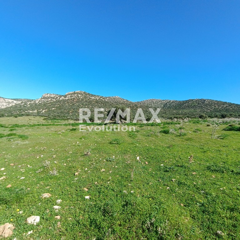 Αγροτεμάχια 8.348 τ.μ. πρός πώληση, Αττική - Υπόλοιπο, Κερατέα