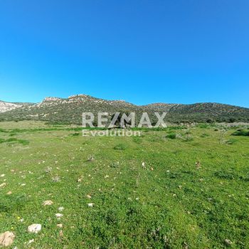 Αγροτεμάχια 8.348 τ.μ. πρός πώληση