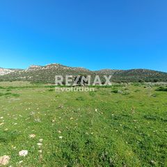 Αγροτεμάχια 8.348 τ.μ. πρός πώληση
